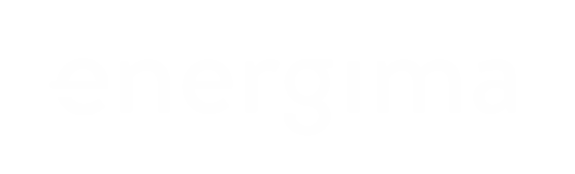 Anershus energi