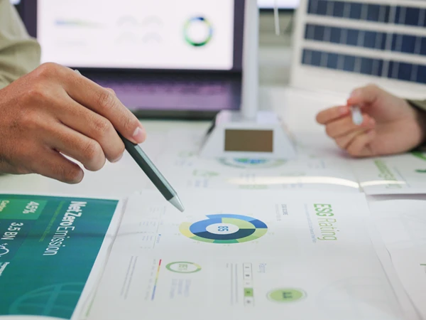 shutterstock_2449834269